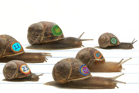 PicScout Blog - Engineering, .net