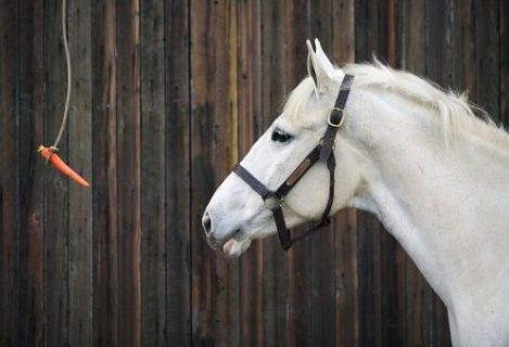 PicScout Blog - Engineering