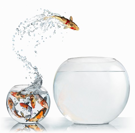 PicScout Blog - Engineering